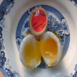 تایمر پخت آب پز تخم مرغ Egg Timer